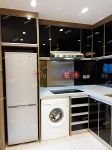 近地铁 雅致装修 齐傢俬《中南樓租盤》