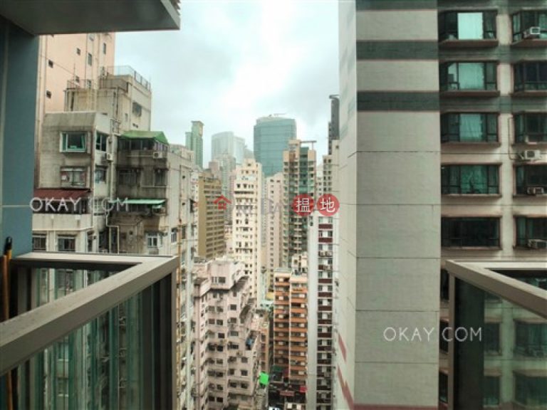 開放式,可養寵物,露台《囍匯 2座出售單位》