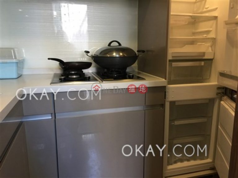 開放式,可養寵物《壹環出售單位》