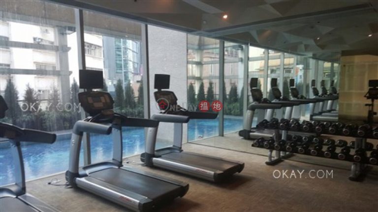 1房1廁,星級會所,露台《York Place出租單位》