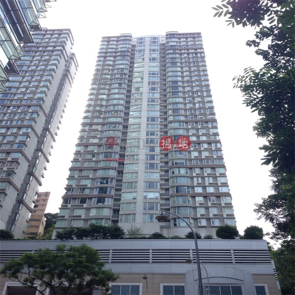 豪宅入門，名牌發展商，地標名廈，環境優美星域軒買賣盤