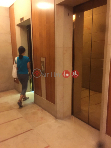 豪宅入門，名牌發展商，地標名廈，環境優美星域軒買賣盤